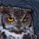 Space Owls V4