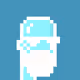 Ice Punk #2529
