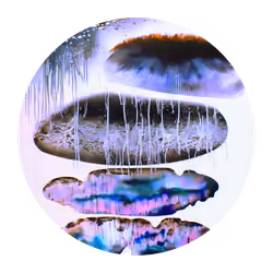 PATHOGENESIS #10
