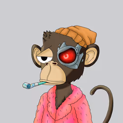 1204