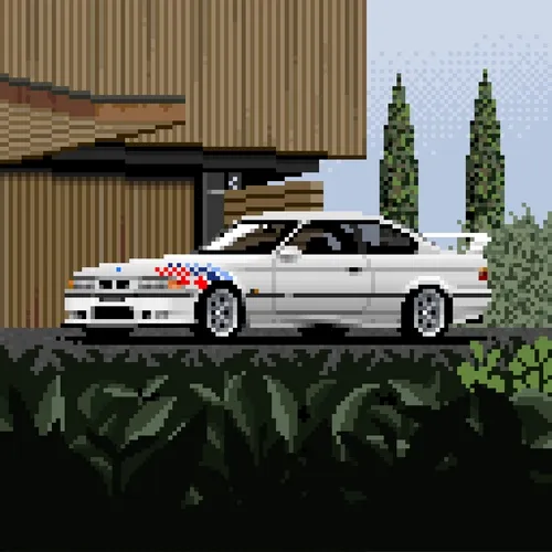 Crypto Whips Sr
