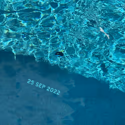 269