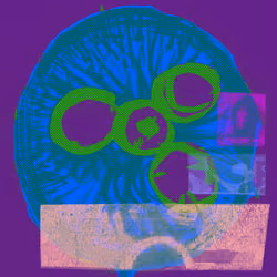 Bitmaps #6