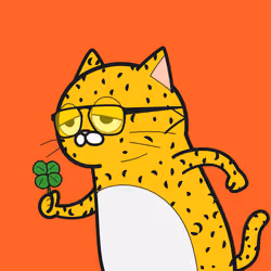 IVY CAT #2021