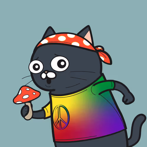 Bbrc Ivy Cat