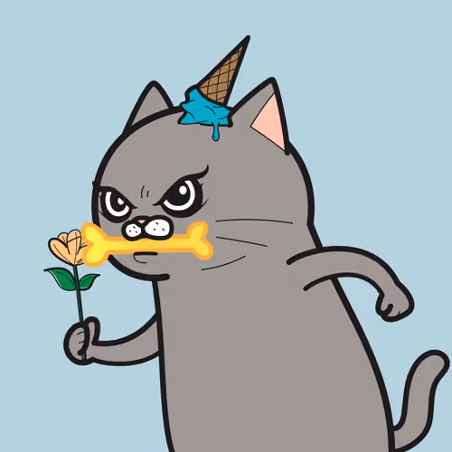 IVY CAT #519