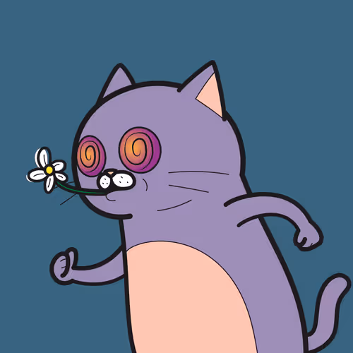 Bbrc Ivy Cat