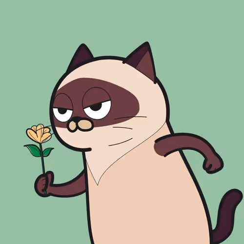 Bbrc Ivy Cat