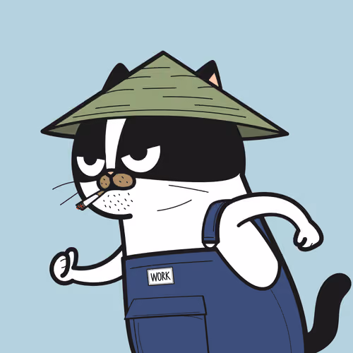 IVY CAT #1704