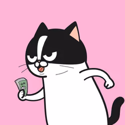 IVY CAT #337