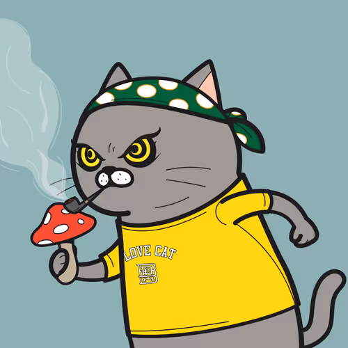 Bbrc Ivy Cat