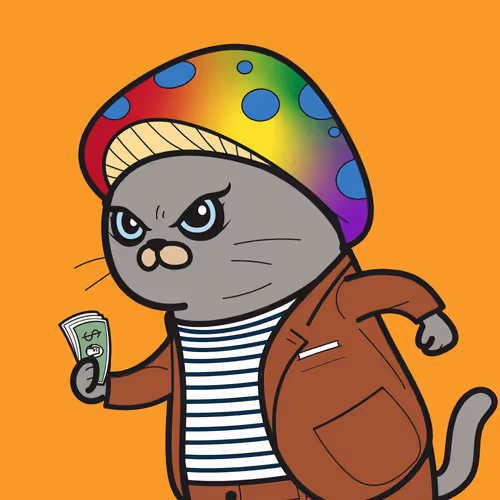 Bbrc Ivy Cat