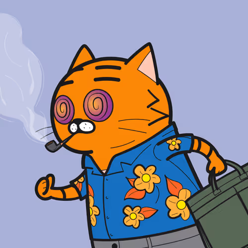 Bbrc Ivy Cat