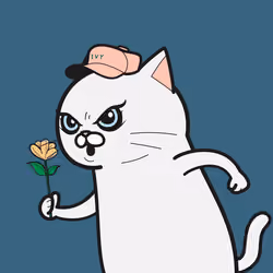 IVY CAT #1700