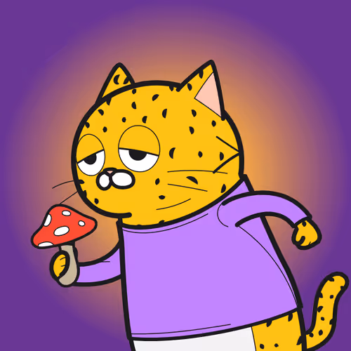 Bbrc Ivy Cat