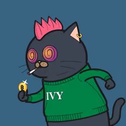 IVY CAT #1596
