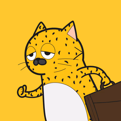Bbrc Ivy Cat