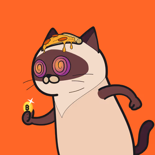 Bbrc Ivy Cat