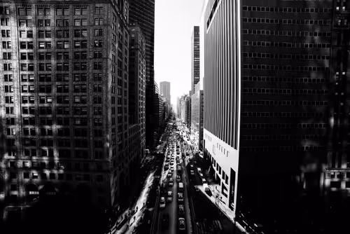 Item #8800020003 Media