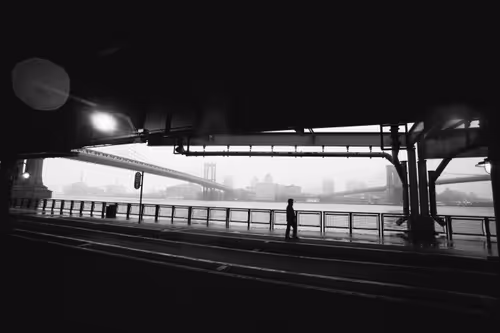 Item #8800100003 Media