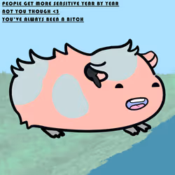 2039