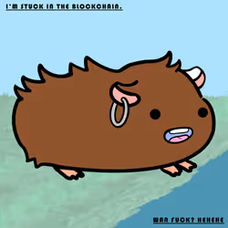 1036