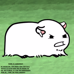 Oonga #2224