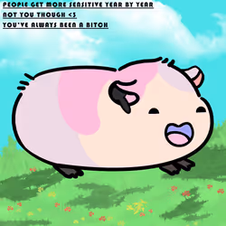 1569
