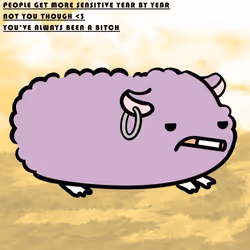 2529