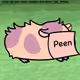 2284