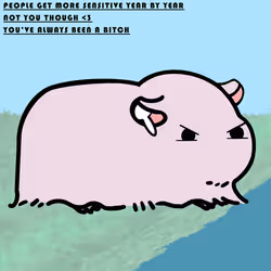 585