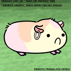 1722