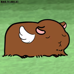 35