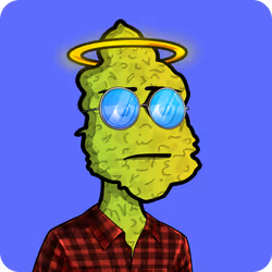 1428