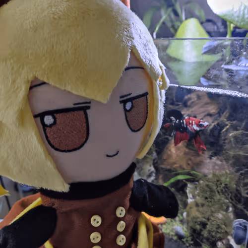 Fumo Project