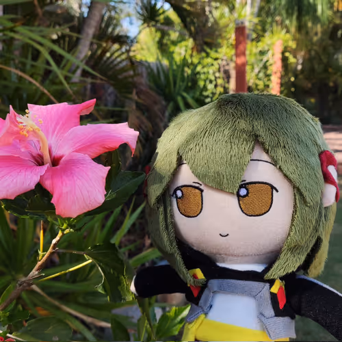 Fumo Project