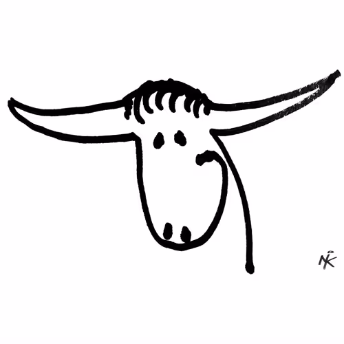 Wildandbullish