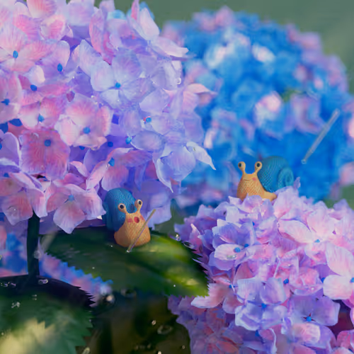 Rainy garden