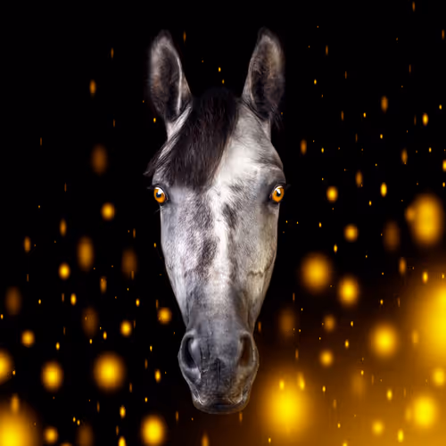Amazing Horses V2