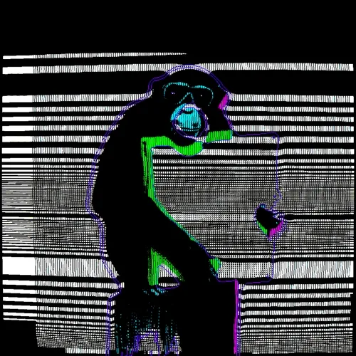 Stripe Stalker