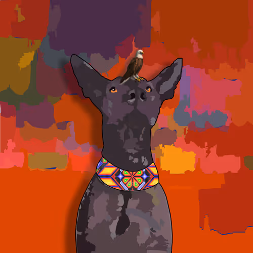 Xolo #1050