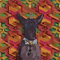 647