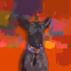 749
