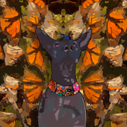 522