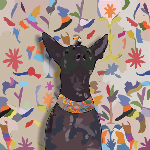 Xolo #1052