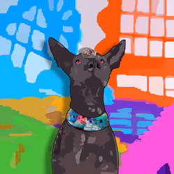 851