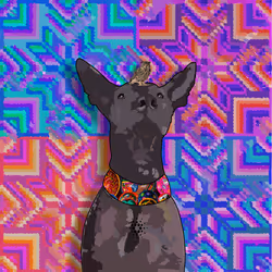 976