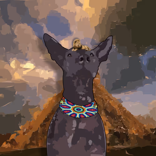 Xolo #717