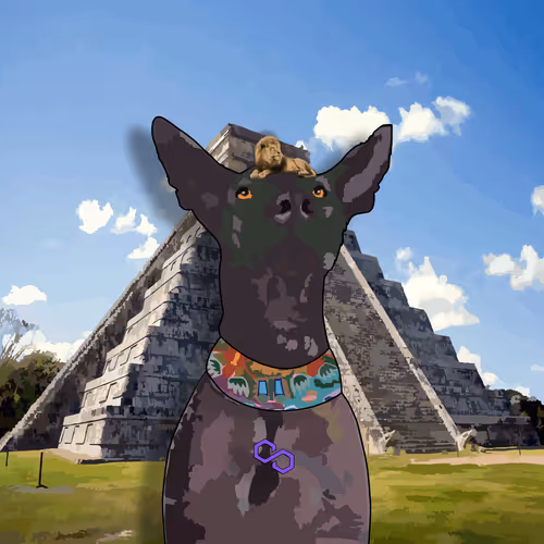 Xolo #632
