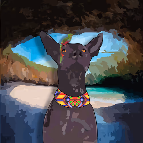 Xolo #1053